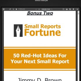 Download Jimmy D Brown - Small Reports Fortune 2.0