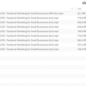 Download Nathan Latka - Facebook Marketing for Small Businesses