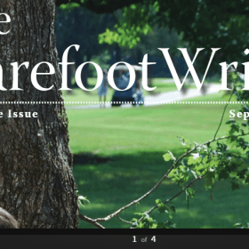 Download AWAI - The Barefoot Writer Club