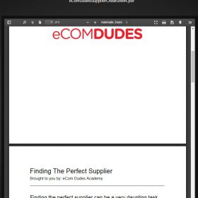 Download eCom Dudes Academy - Build a massive eCom Empire