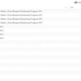 Download Ben Malol - eCom Blueprint Bootcamp Program