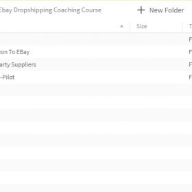 Download Andrei Kreicbergs - Ebay Dropshipping Coaching Course