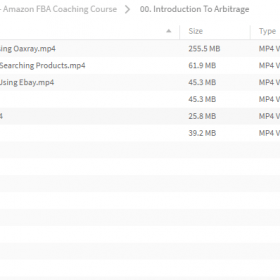 Download Andrei Kreicbergs - Amazon FBA Coaching Course