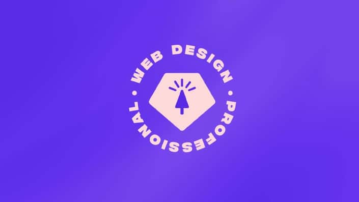 Ran Segall – Web Design-Becoming a Professional